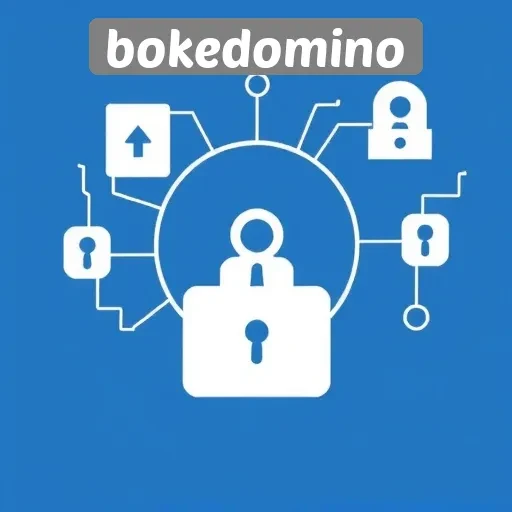 Analisis Keamanan Dan Privasi Di Bokedomino